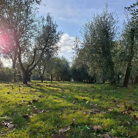 Casa Petrea - Luxury Experiences Orvieto Villa *